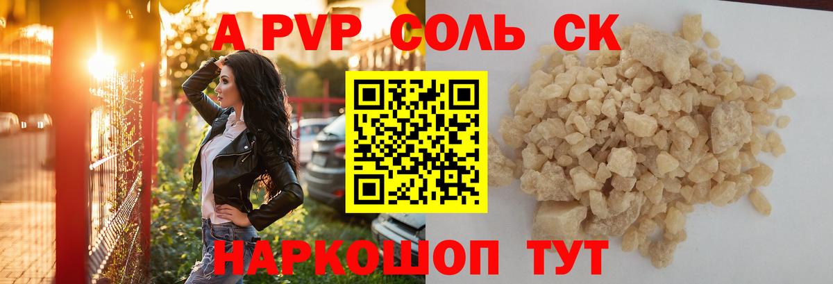 APVP СК Вологда