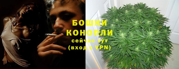 шишки Усмань