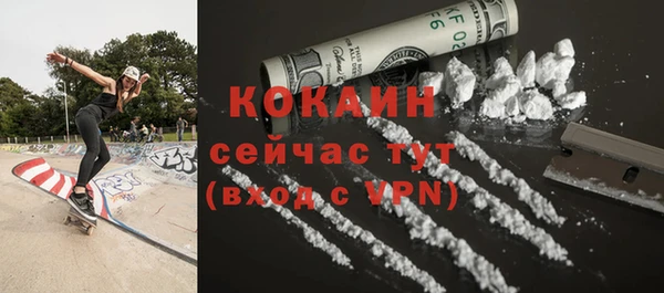 дживик Навашино