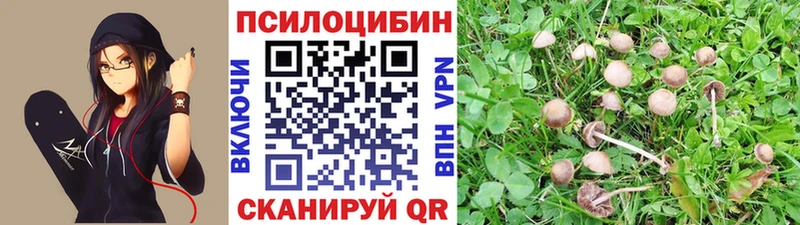 Псилоцибиновые грибы мицелий  продажа наркотиков  Вологда 